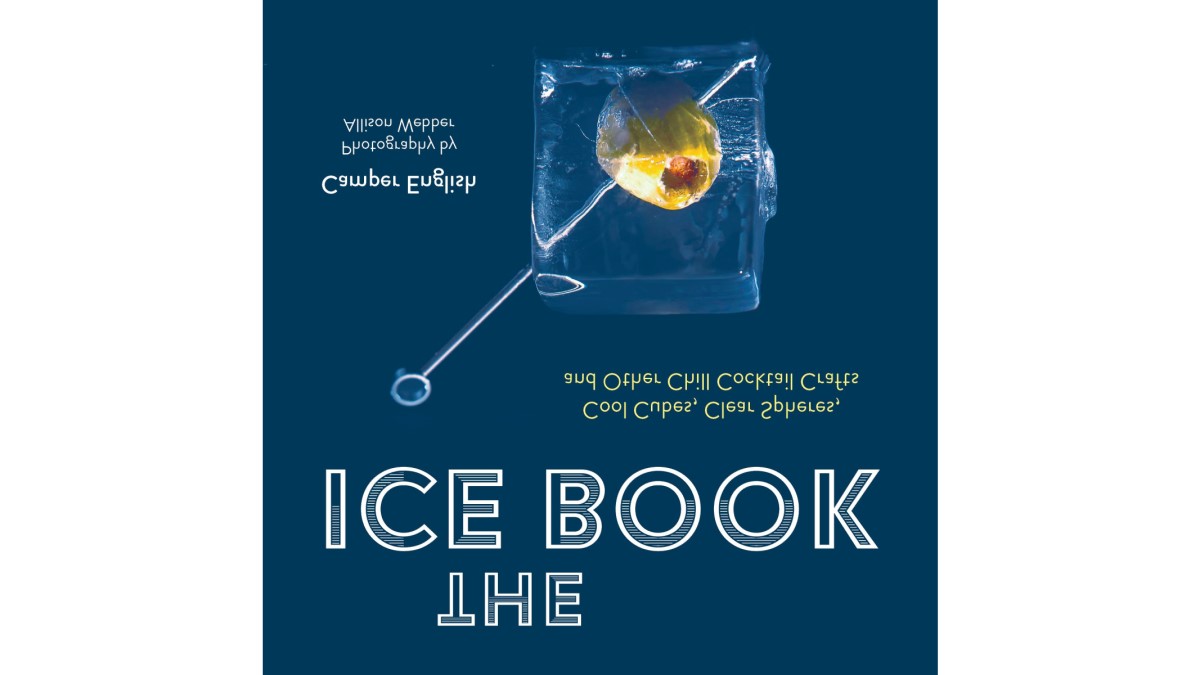 Book cover of The Ice Book by Camper English.